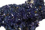 Sparkling Azurite Crystal Cluster - Laos #56057-2
